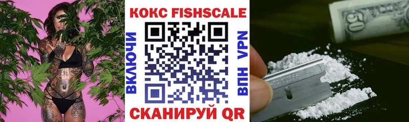 Купить закладки Баксан Кокаин Эквадор