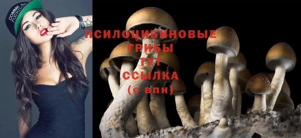 хмурый Карталы