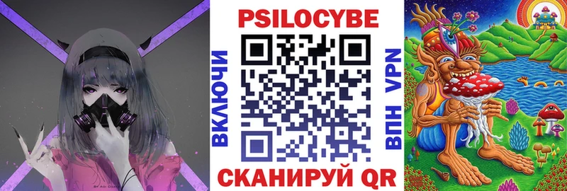 Купить  Баксан  Псилоцибиновые грибы MAGIC MUSHROOMS 